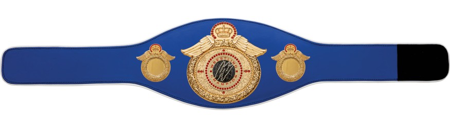 WRESTLING CHAMPIONSHIP BELT-PROWING/G/WRESTGEMG-6+ COLOURS